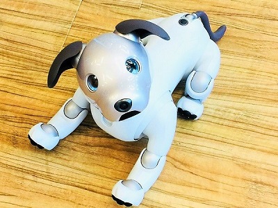 Sony’s Aibo: The Revived AI Robot Pet